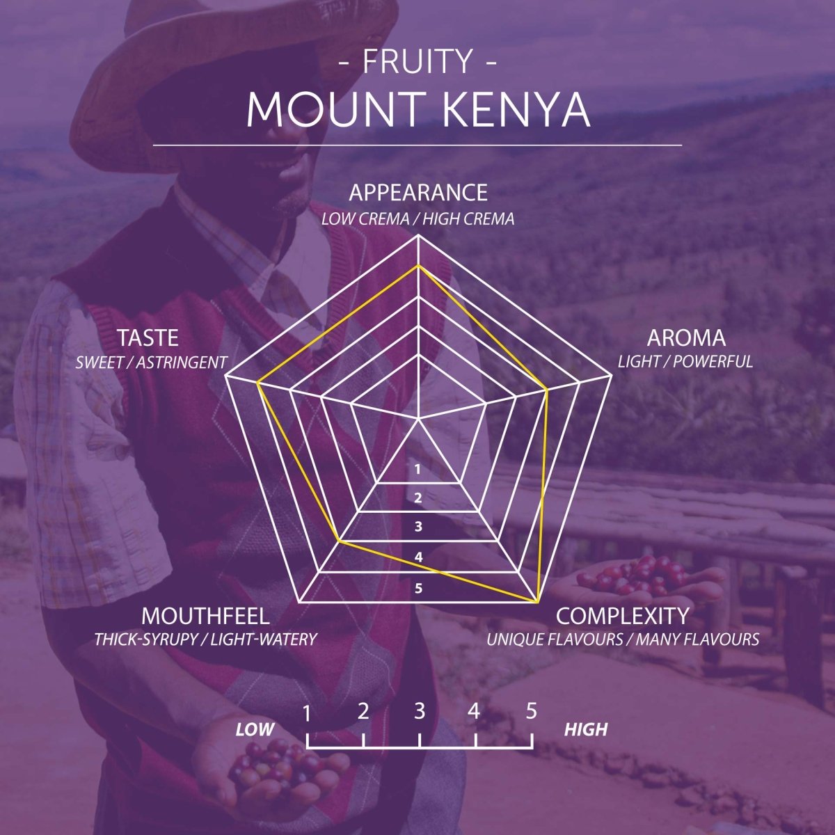 Mount Kenya Coffee, Strength 3, Medium Roast - Brown Bear Coffee